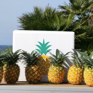 パイナップル（ハワイ種）6個入り